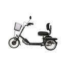 Dreiad für Erwachsene Cargo P20 von PF Mobility mit...