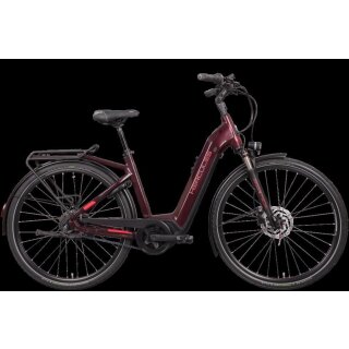 Futura Fold I-R8 von Hercules Bikes