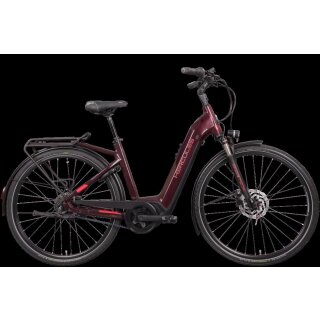 Futura Fold I-R8 von Hercules Bikes