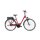 Futura Fold I-R8 von Hercules Bikes