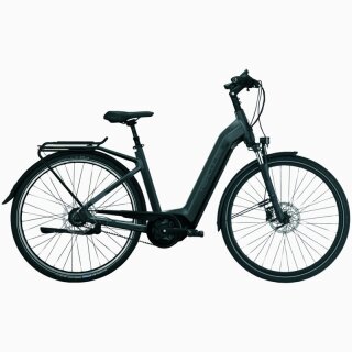 Futura Fold I-R8 von Hercules Bikes