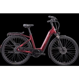 Futura Fold I-R8 von Hercules Bikes