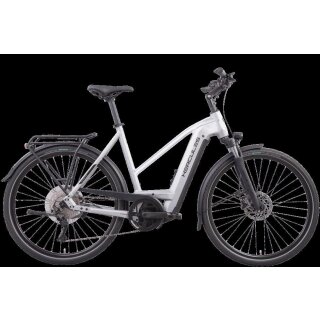 Futura Fold I-R8 von Hercules Bikes