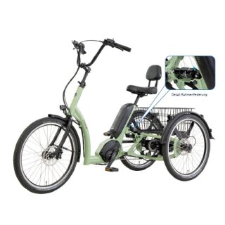 Eno AP Dreirad für Erwachsene mit  Bosch Active-Line-Plus Motor · 545 Wh-Akku und Rahmenfederung