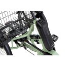 Eno AP Dreirad für Erwachsene mit  Bosch Active-Line-Plus Motor · 545 Wh-Akku und Rahmenfederung