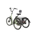 Eno AP Dreirad für Erwachsene mit  Bosch Active-Line-Plus Motor · 545 Wh-Akku und Rahmenfederung