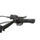 Movi CX Dreirad von Pfautec