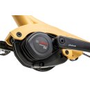 Movi CX Dreirad von Pfautec