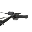Movi FM Dreirad von Pfautec